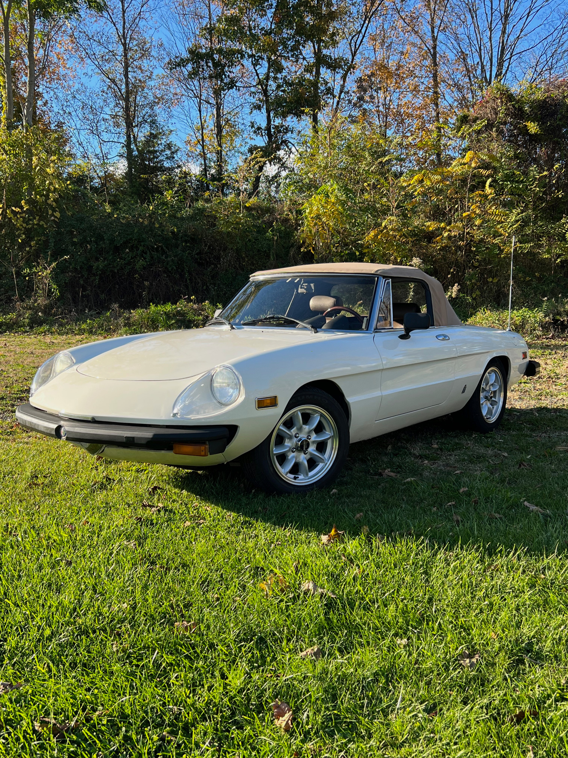 WEB限定カラー Retro Spider Romeo Alfa 1966 series: 趣味
