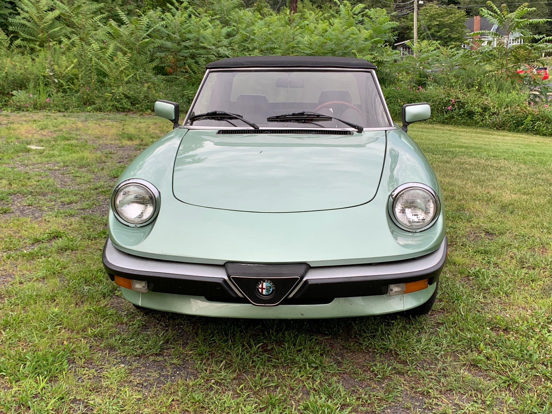 Finally an Alfa Owner. Dad and I collected this 1985 Alfa
