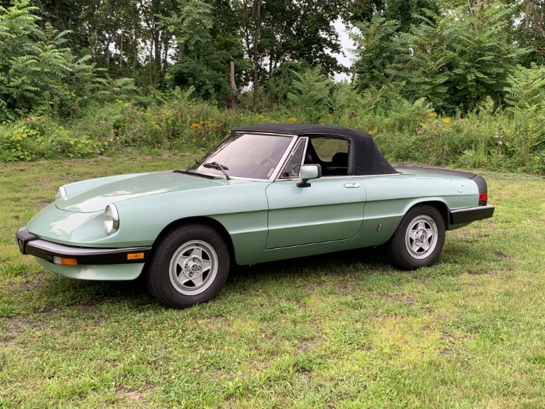 Finally an Alfa Owner. Dad and I collected this 1985 Alfa